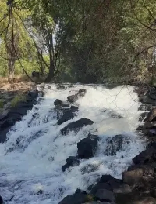 images/PHOTOS/dennis%20paul%20charters.webp#joomlaImage://local-images/PHOTOS/dennis paul charters.webp?width=200&height=260